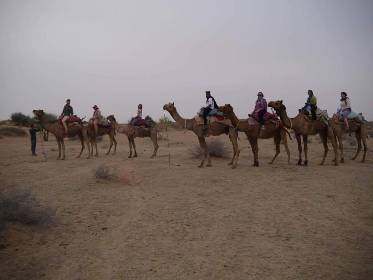 Sonal Desert Camp Jaisalmer Ξενοδοχείο Εξωτερικό φωτογραφία